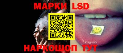 амф Кингисепп