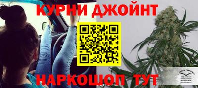 амф Кингисепп