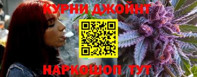 амф Кингисепп