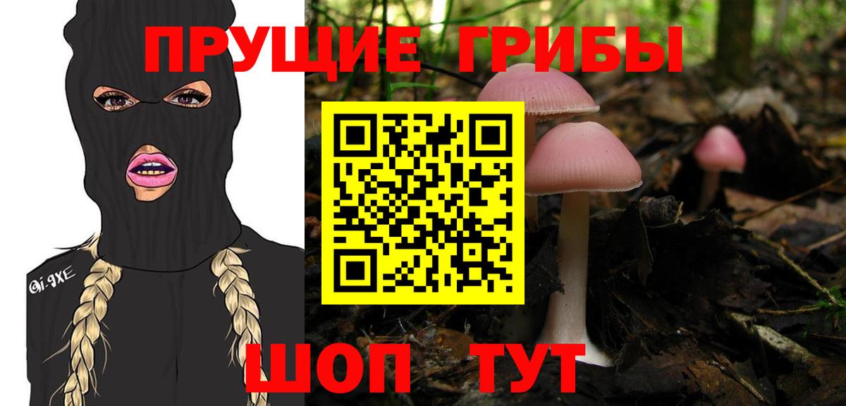 продажа наркотиков  Псилоцибиновые грибы Psilocybine cubensis  Вход с VPN  Усть-Джегута 